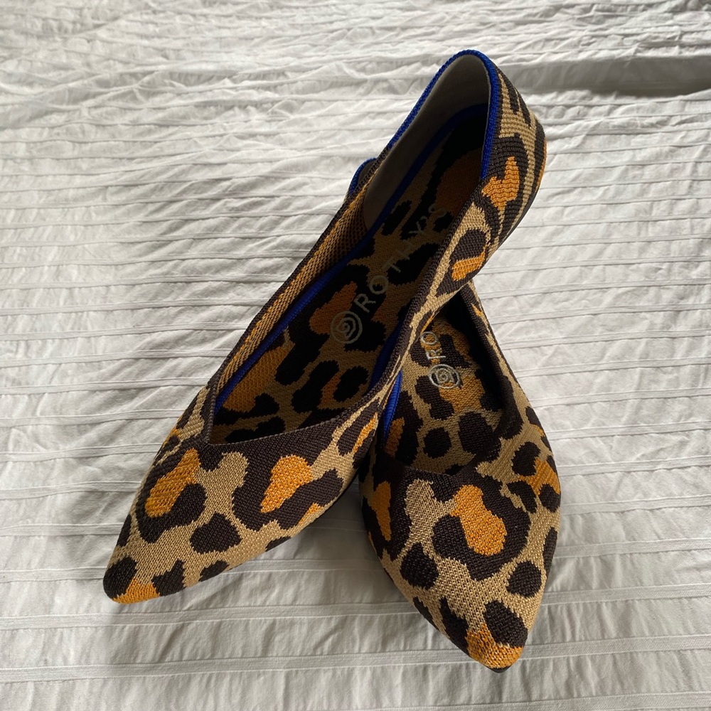 Big Cat Pointed Toe Rothy’s